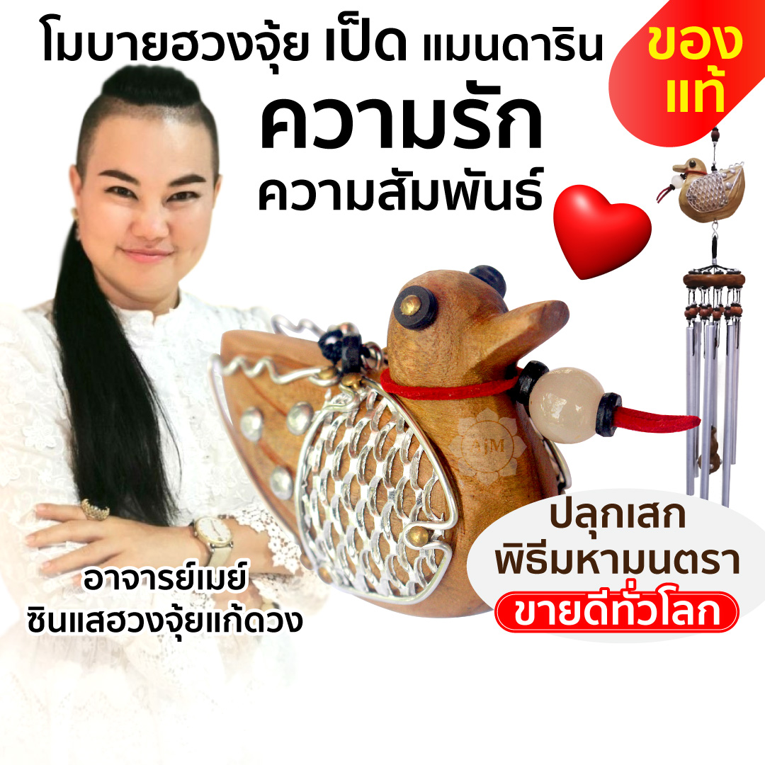 Cover_โมบายฮวงจุ้ย_เป็ด.jpg - 9 จุดในบ้านผิดหลักฮวงจุ้ย แก้ง่ายนิดเดียว รีวิวเพียบ | https://ajanmay.com