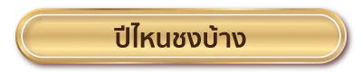 ปีไหนชงบ้าง